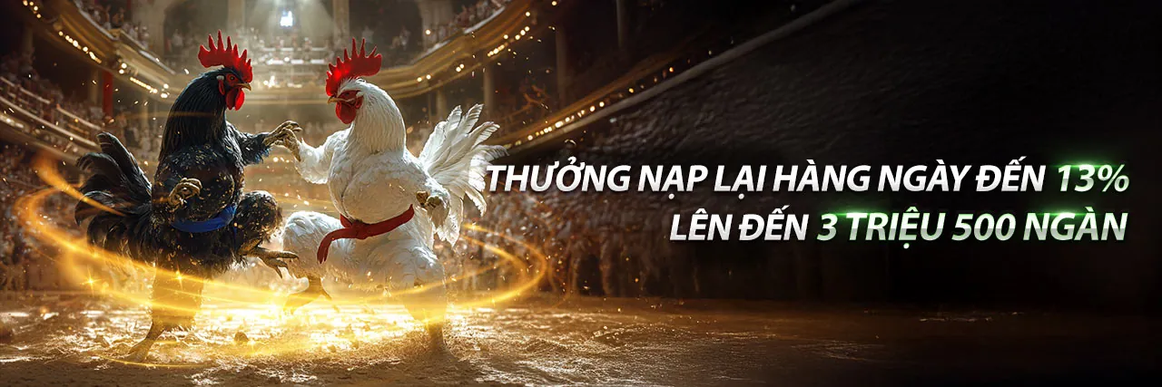Hướng dẫn trò chơi VTY05 chính thức với các chiến lược chiến thắng độc quyền